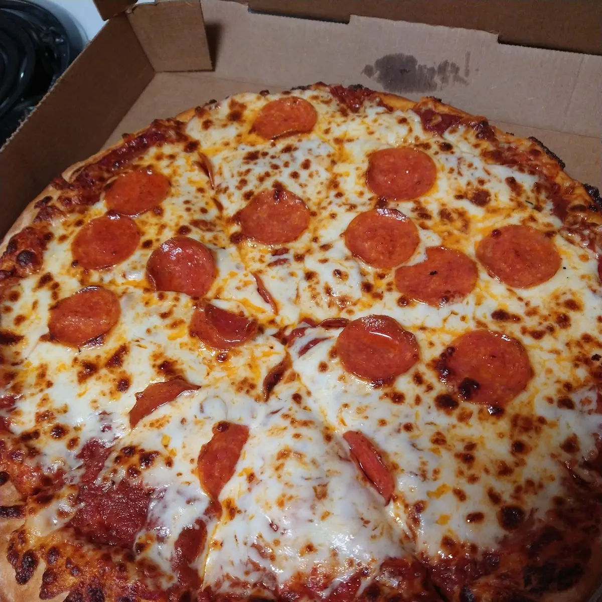 Large 1-Topping Pizza