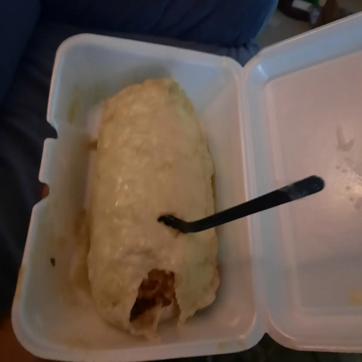 Wet Burrito