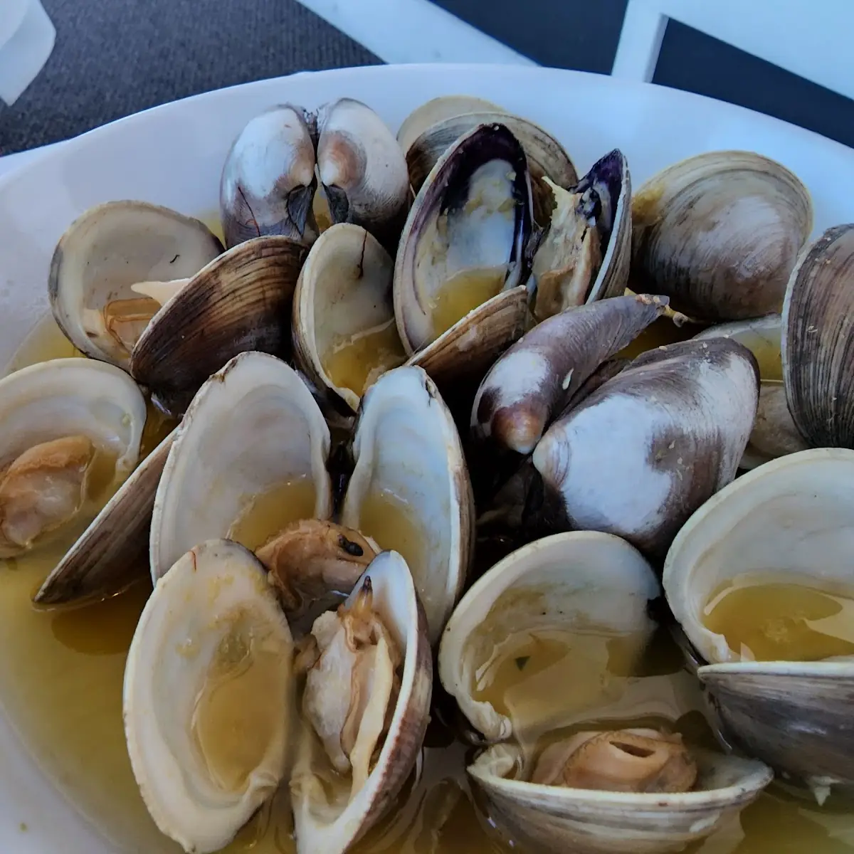 Steamed Clams