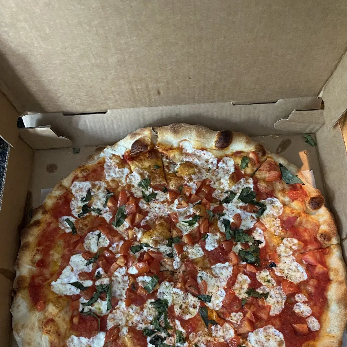 Large Margherita Pizza