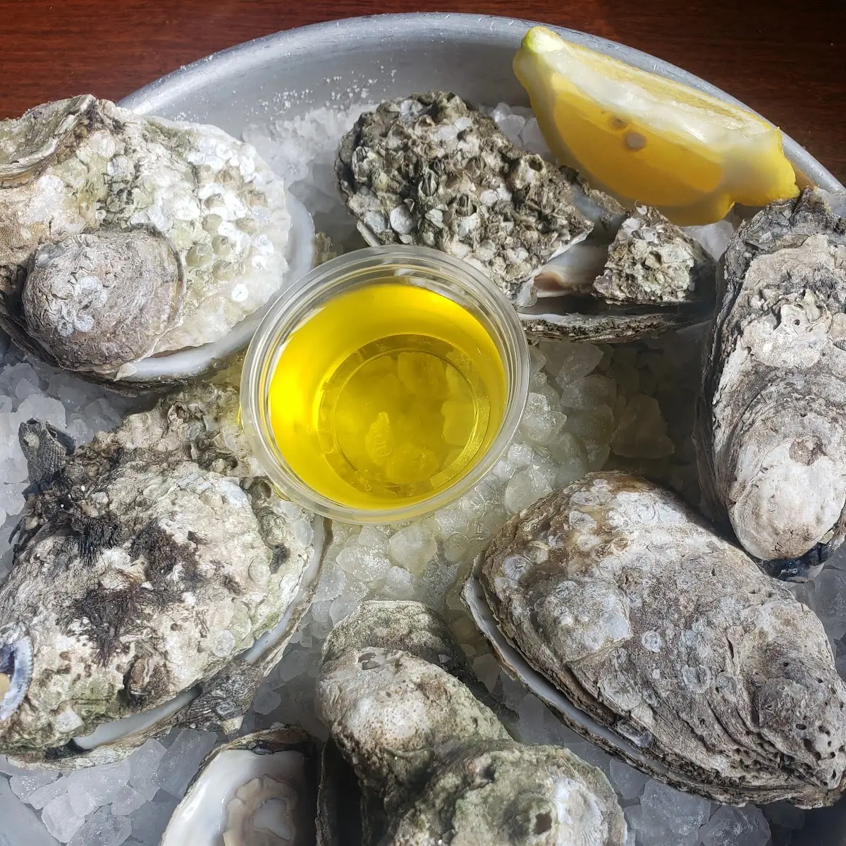 Oysters on the 1 2 Shell