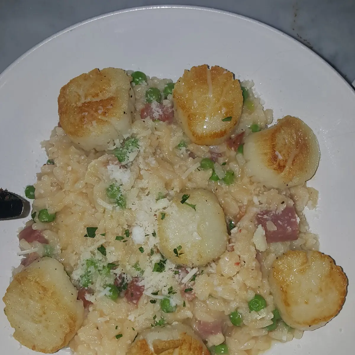 Fried Scallops