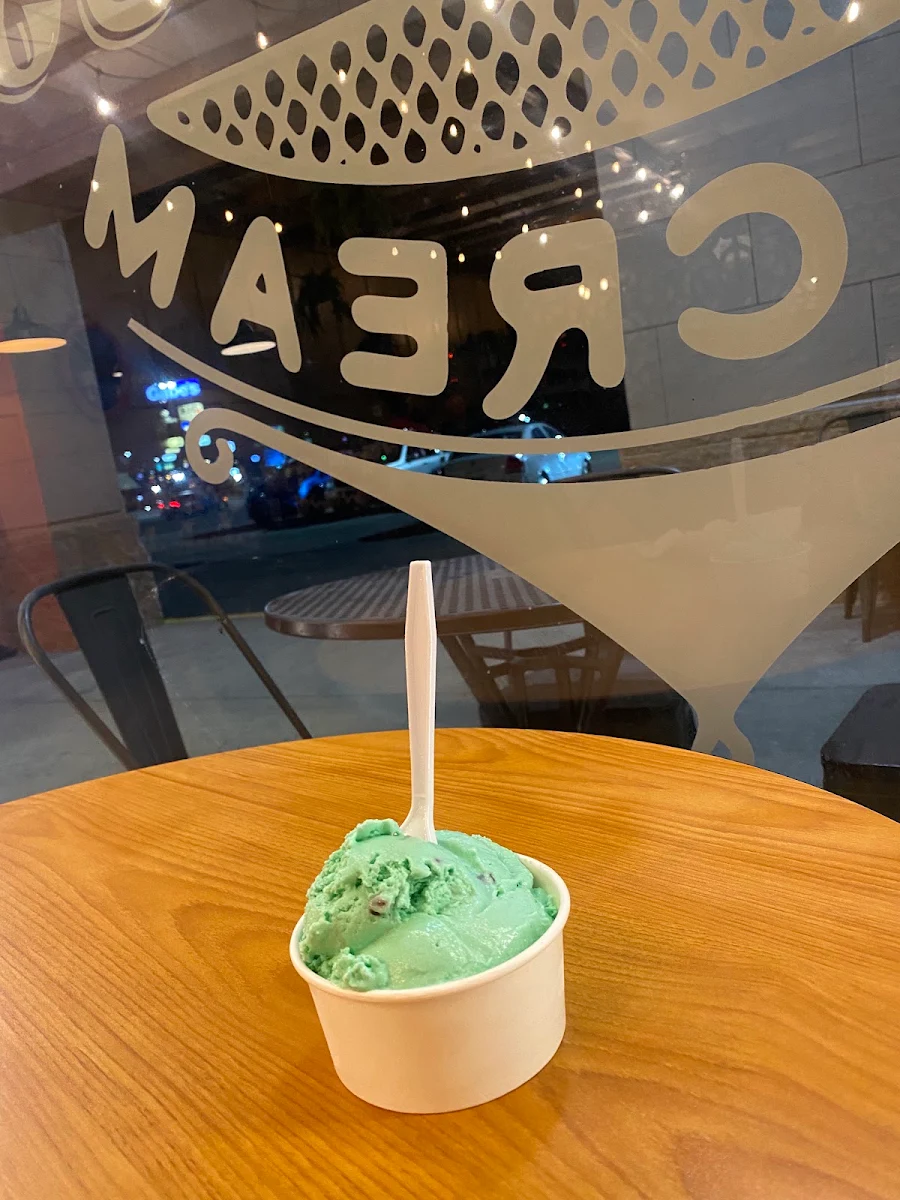 Mint Chocolate Chip