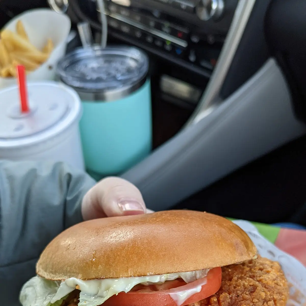 Spicy Crispy Chicken Sandwich