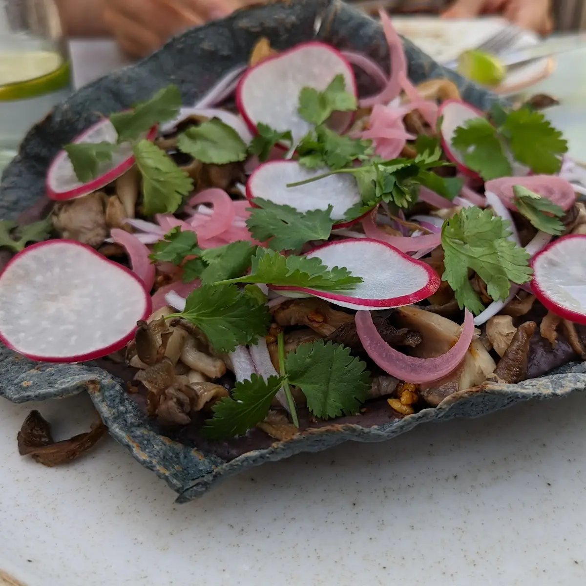 Wild Mushroom Tlayuda