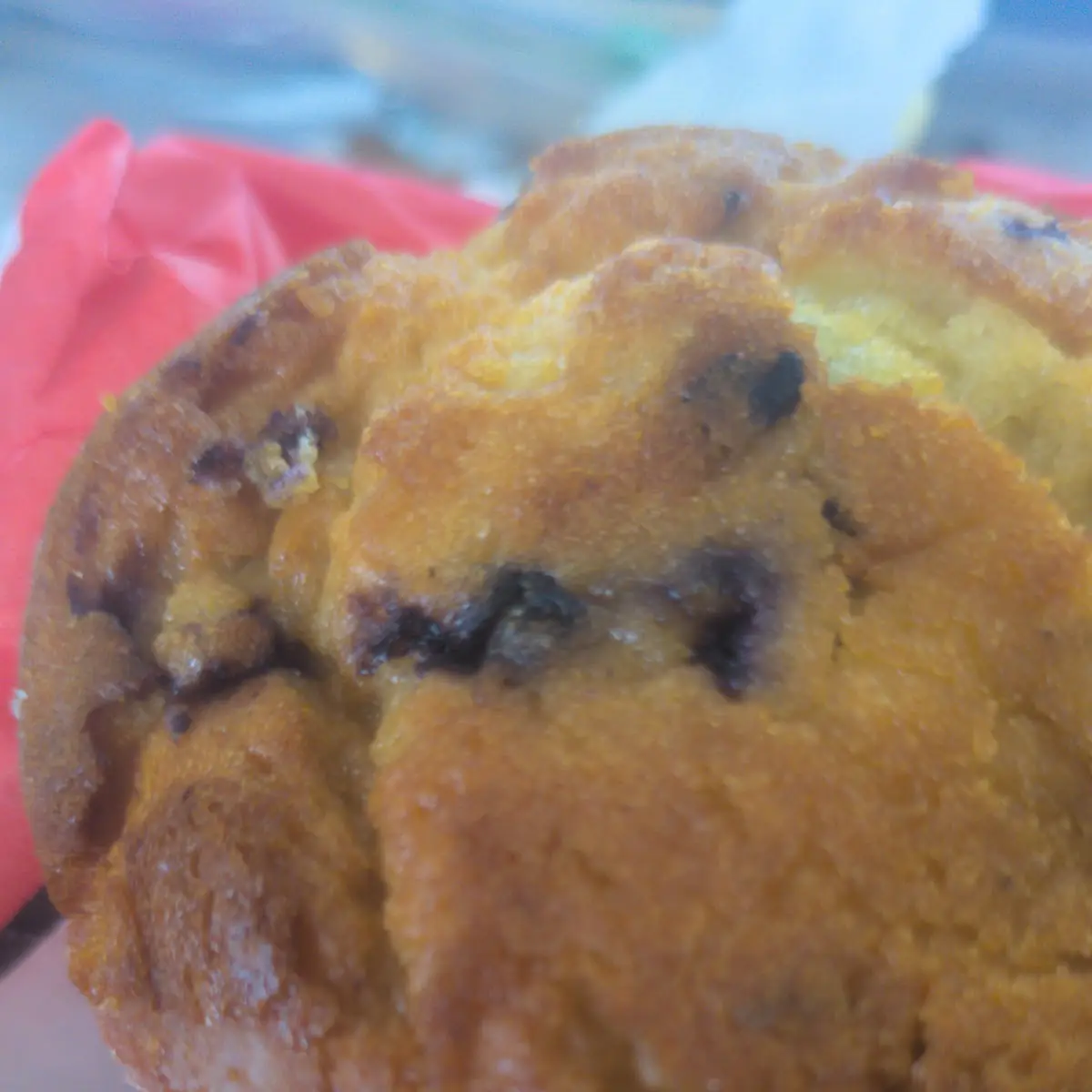 Blueberry Muffin