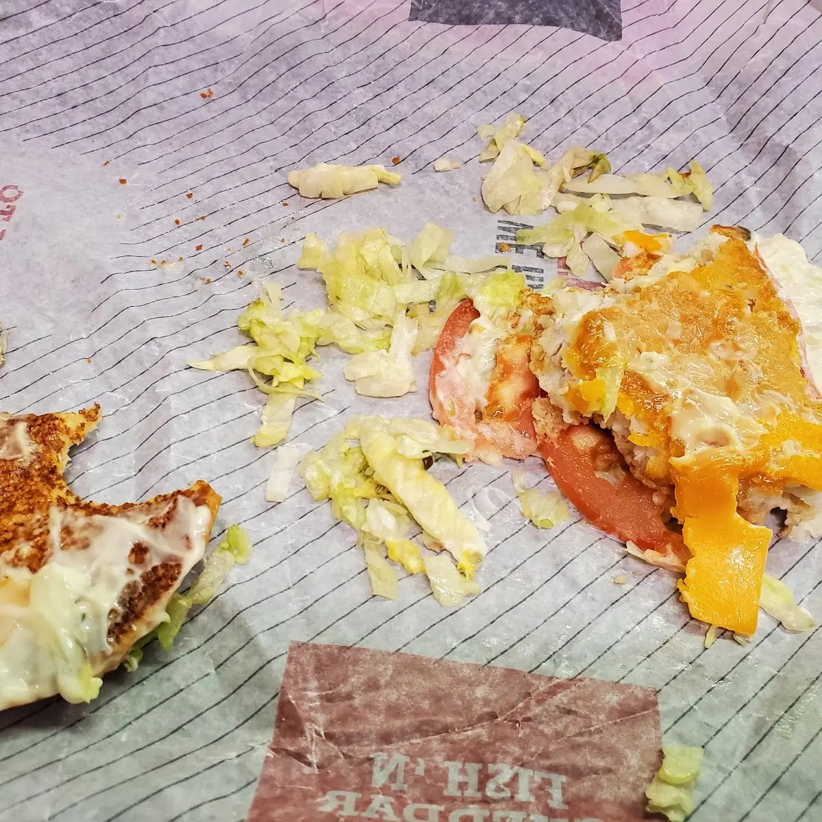 Ice Cold Soggy Fish Sandwich