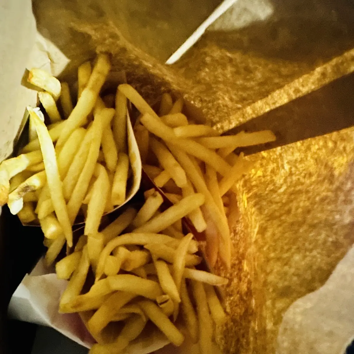 World Famous Fries