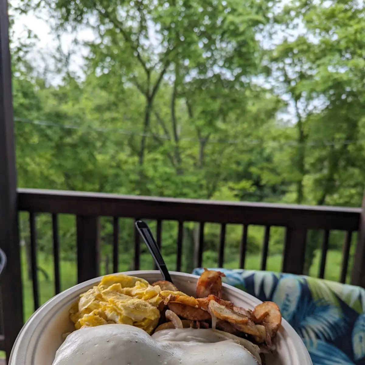 Smothered Chicken Biscuit Platter