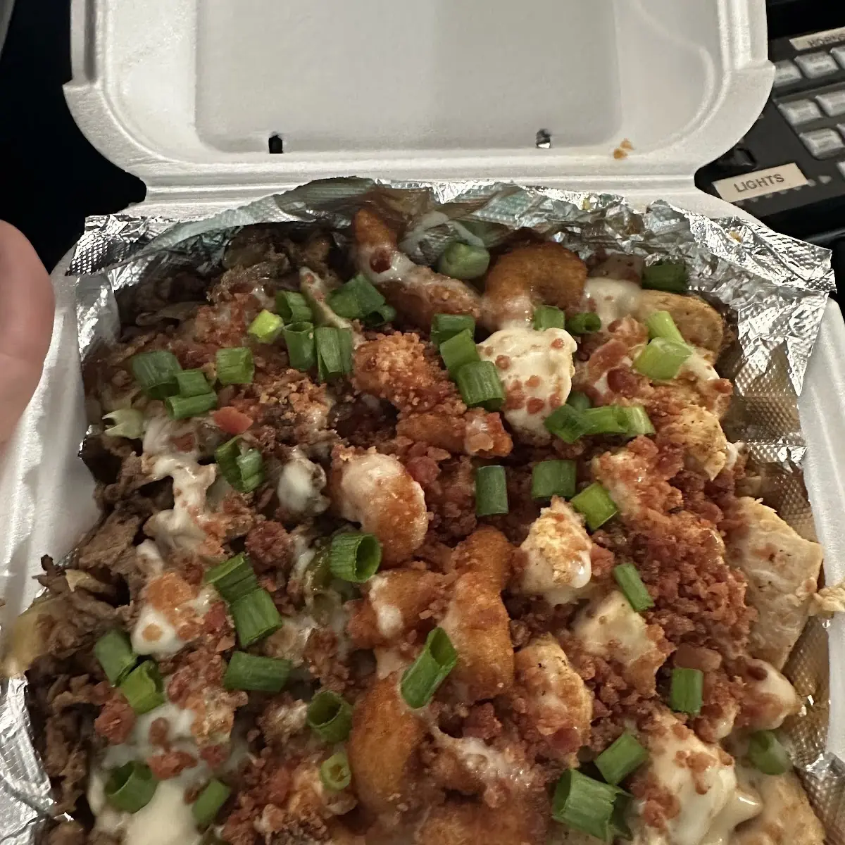 Quad Loaded Fries