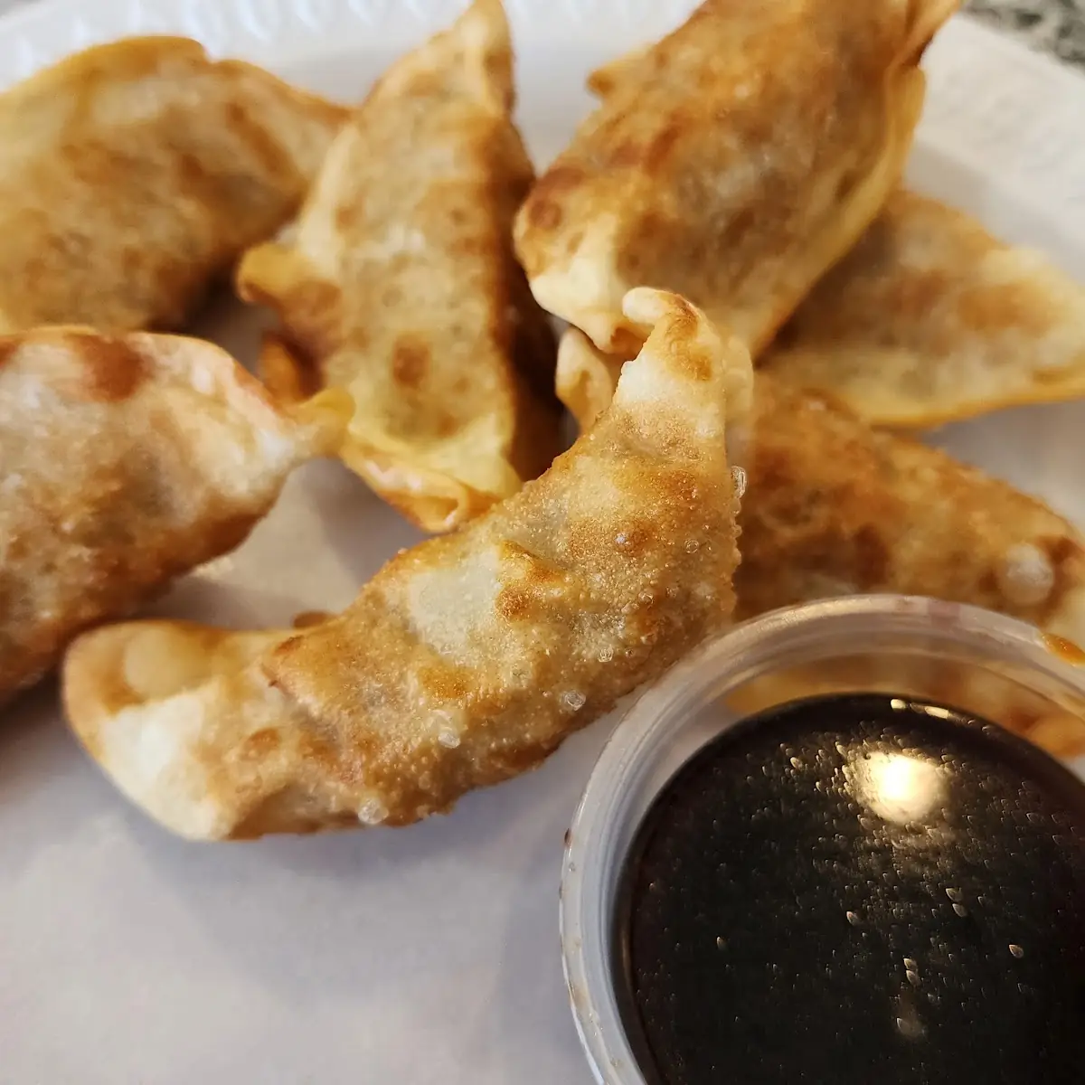Fried Dumplings