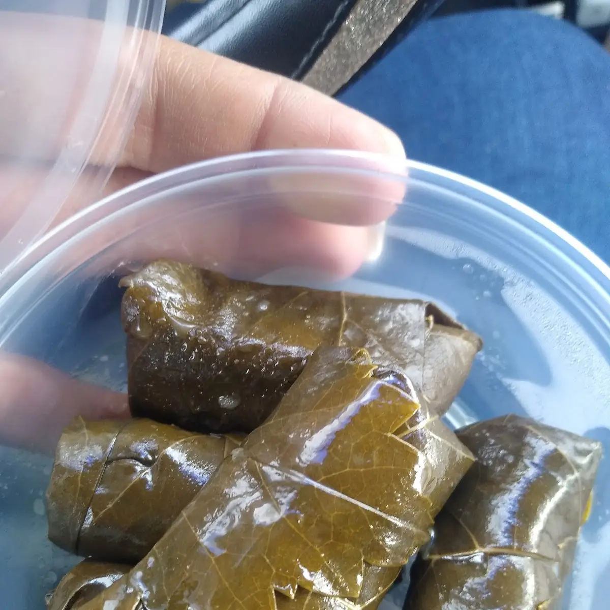 Stuffed Grape Leaves