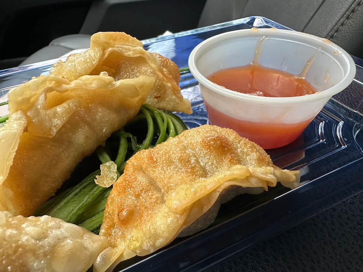 Fried Dumplings