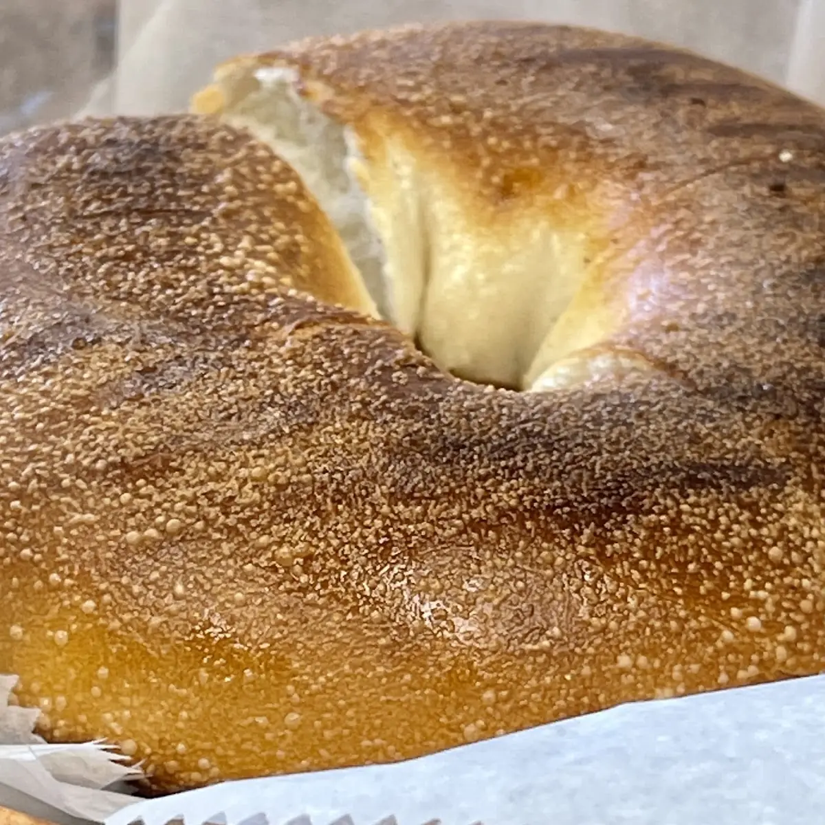 Plain Bagel