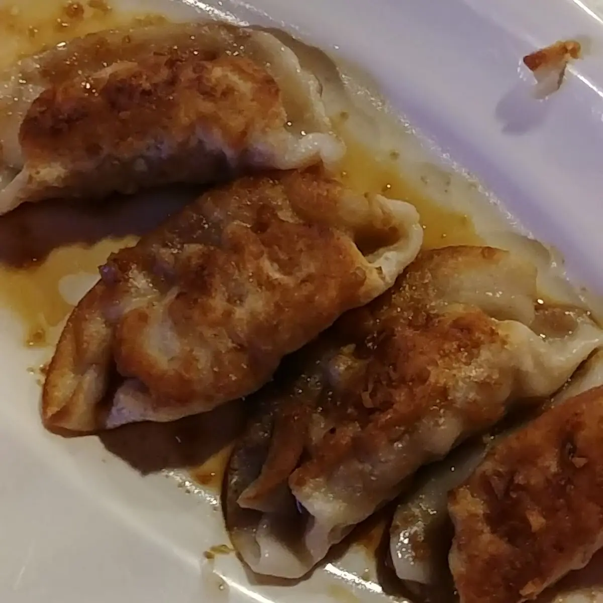 Pork Fried Dumplings