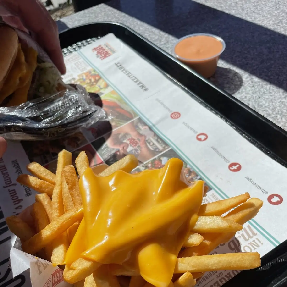 Cheese Fries
