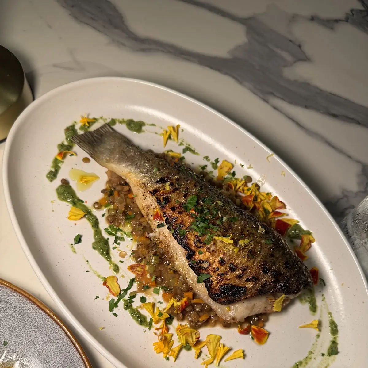 Sea Bass