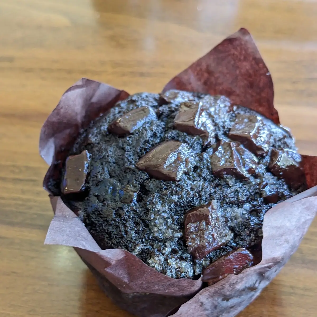 Double Chocolate Muffin
