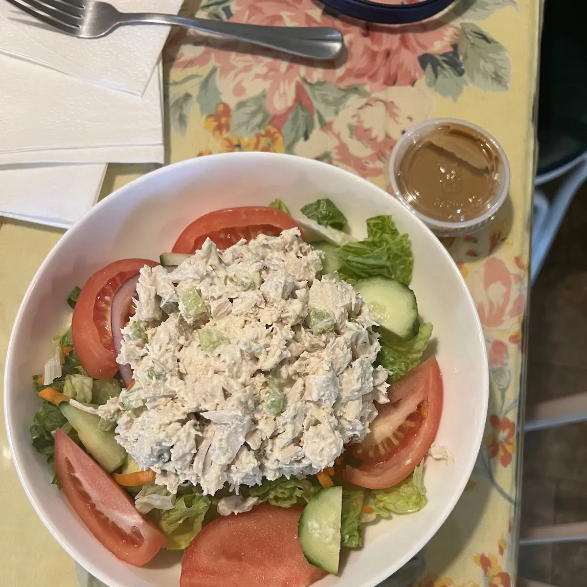 Chicken or Tuna Salad
