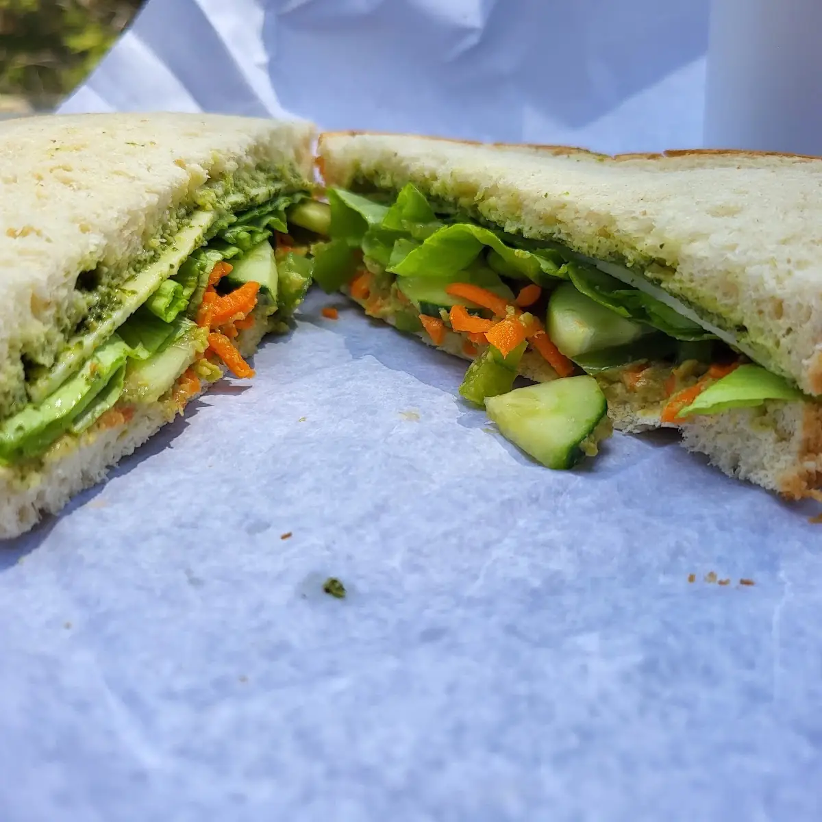 Fresh Avocado Guacamole Veggie Wrap