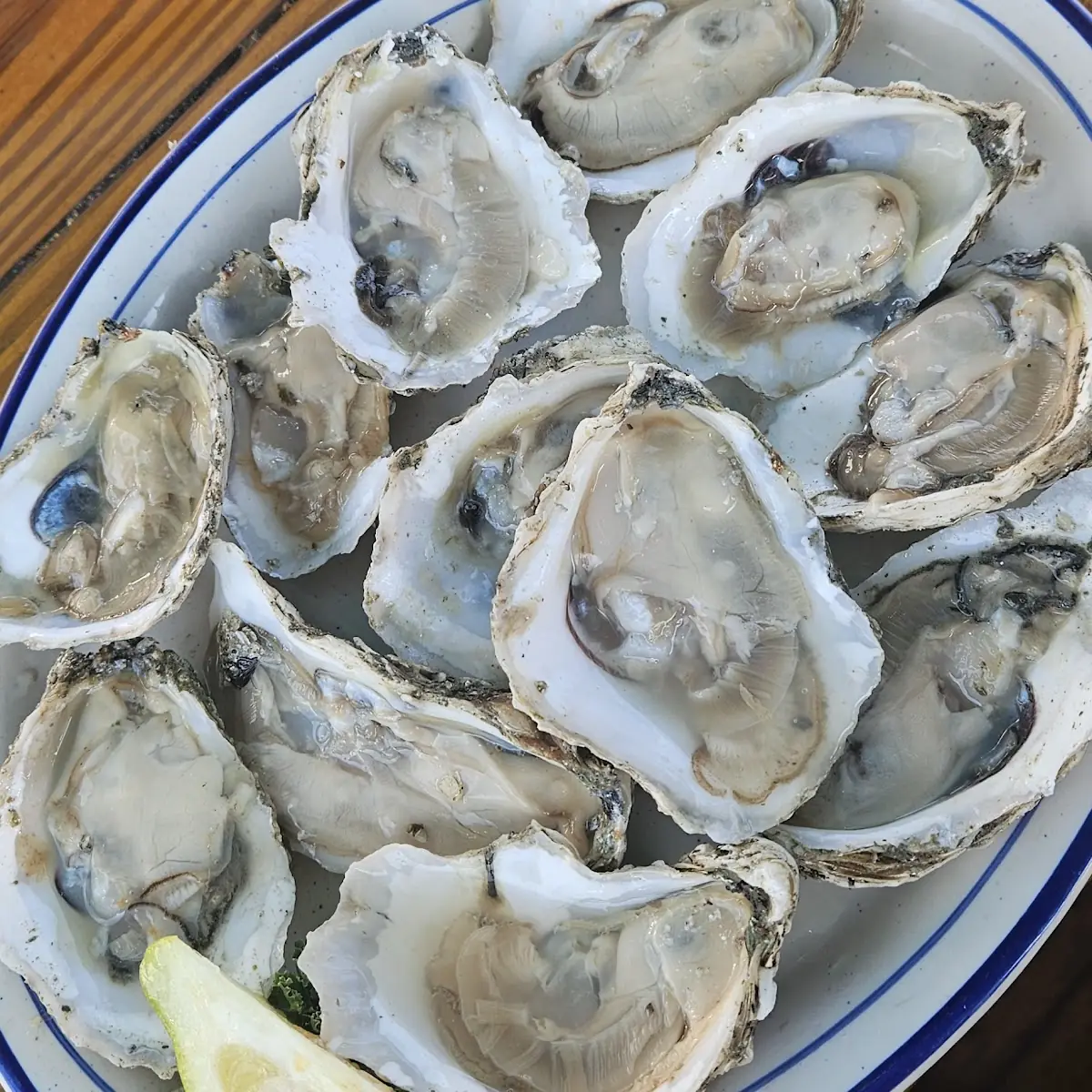 Raw Oysters