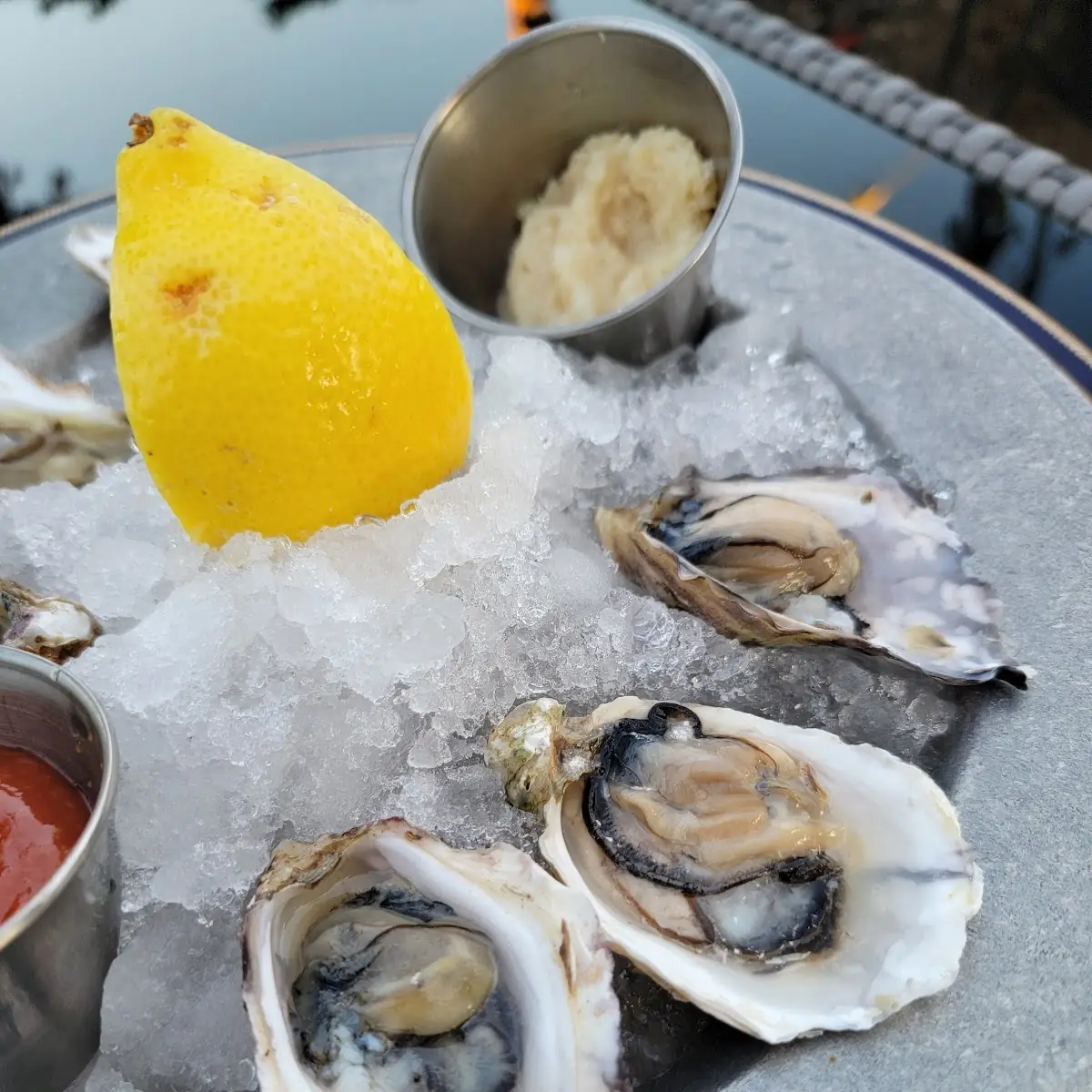 Raw Oysters
