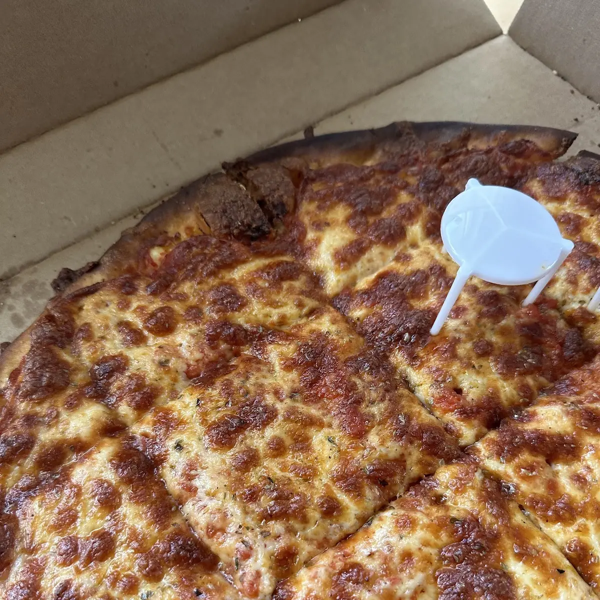 Cheese Pizza in Cardboard Box