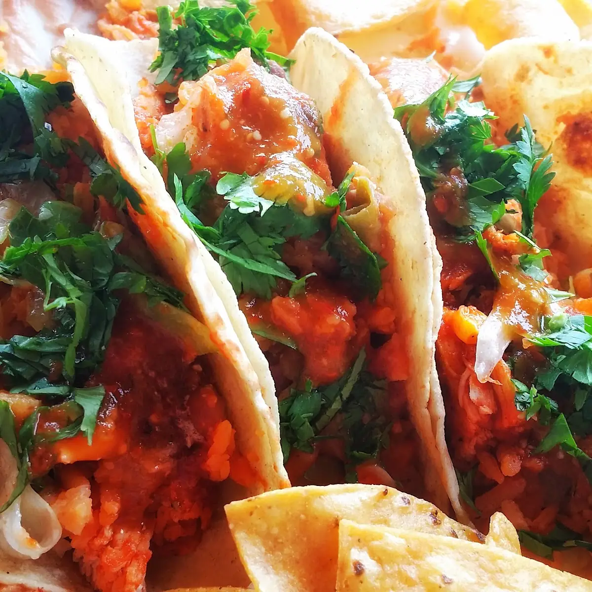 Taco Pollo Chipotle Chicken