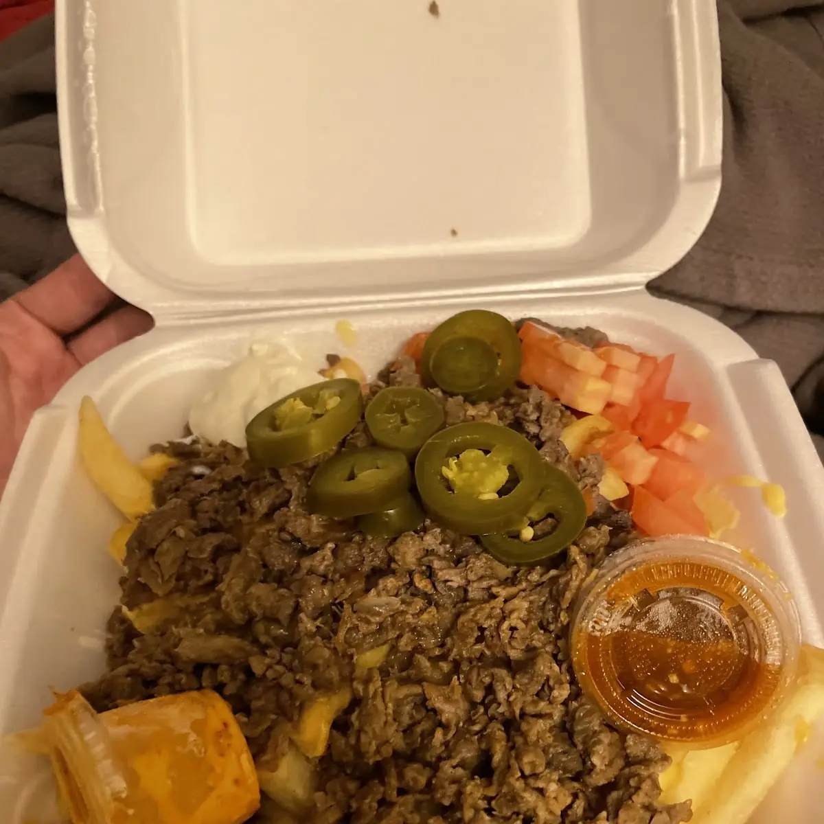 Asada Fries