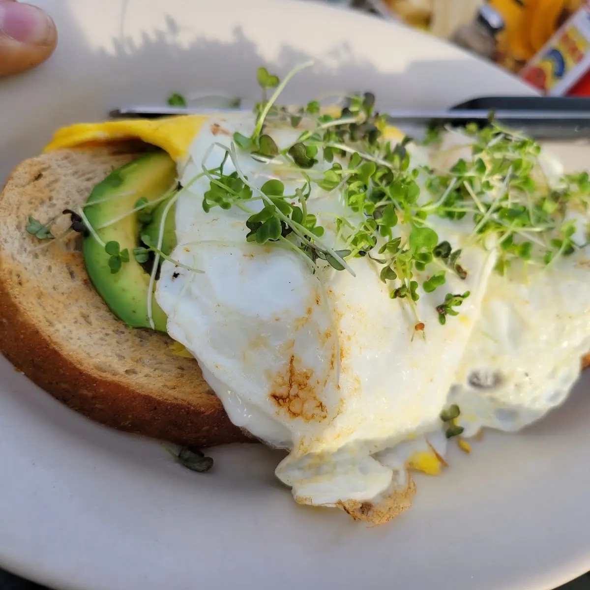 Avocado Toast