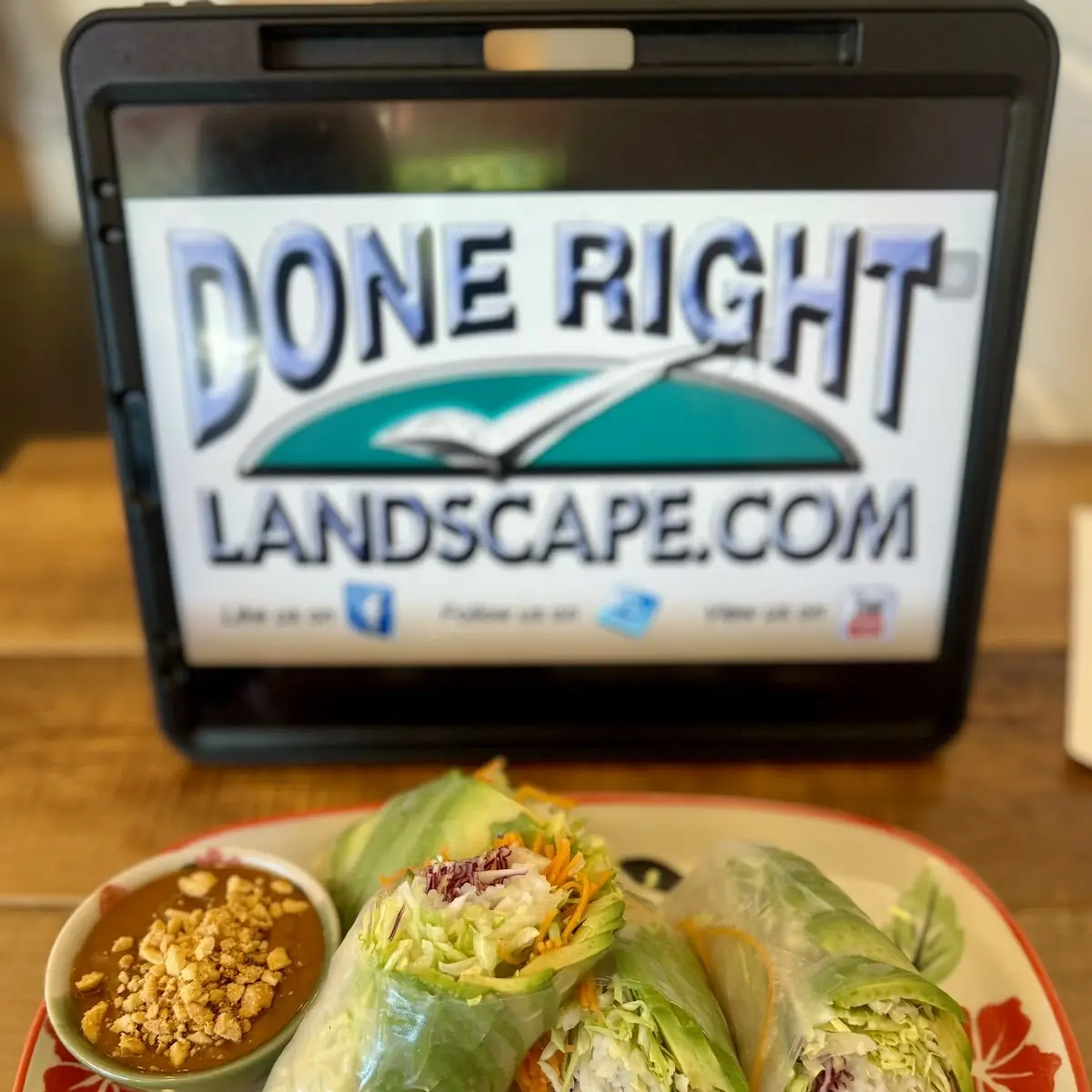 Avocado Fresh Spring Roll Done Right