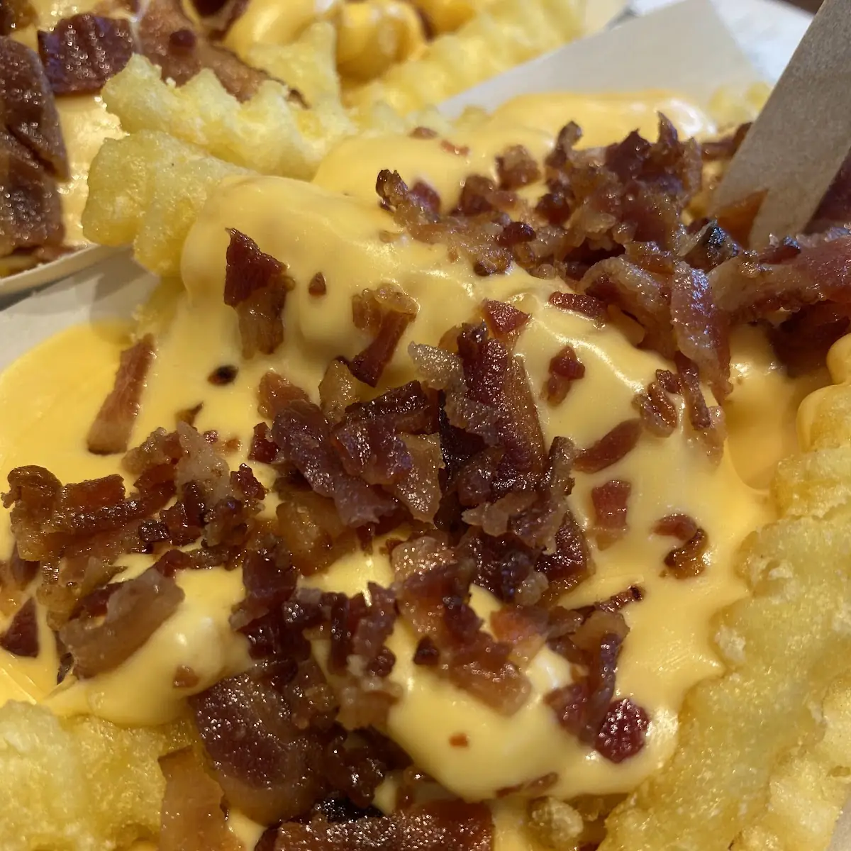 Bacon Cheddar