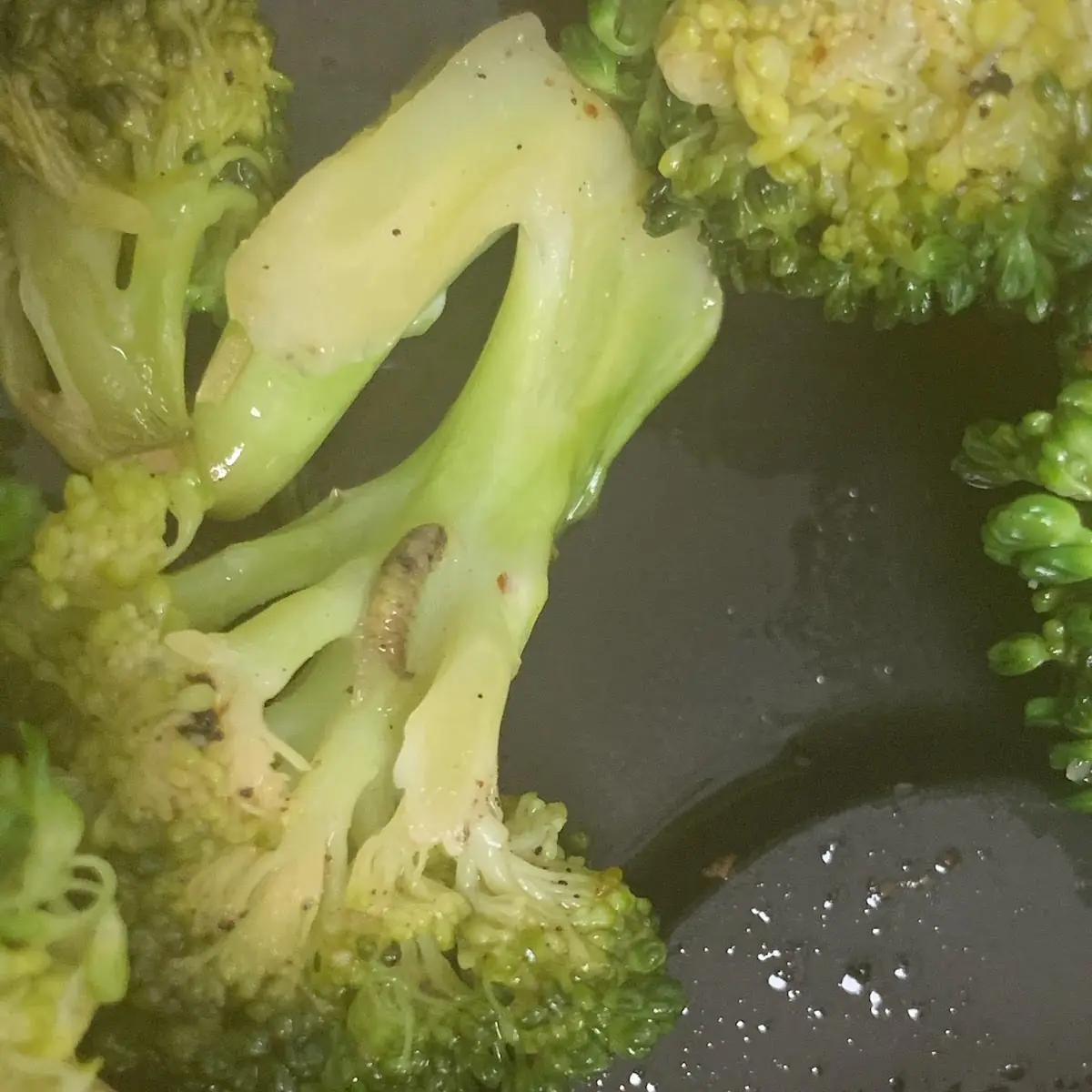 Fresh Steamed Broccoli