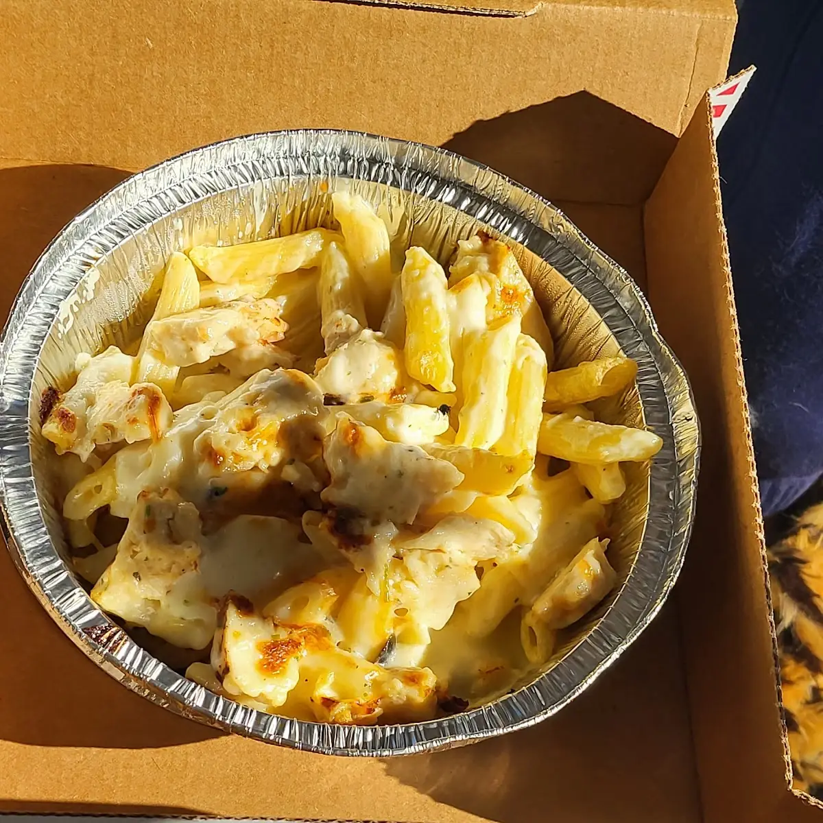 Chicken Alfredo Pasta