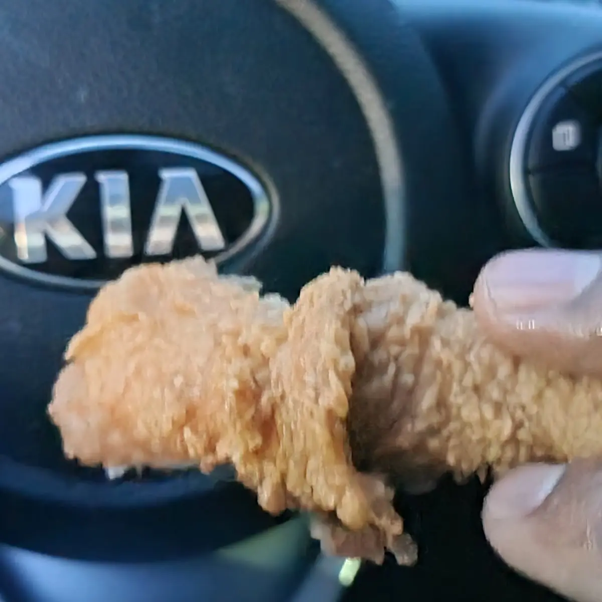 Fried Chicken Leg
