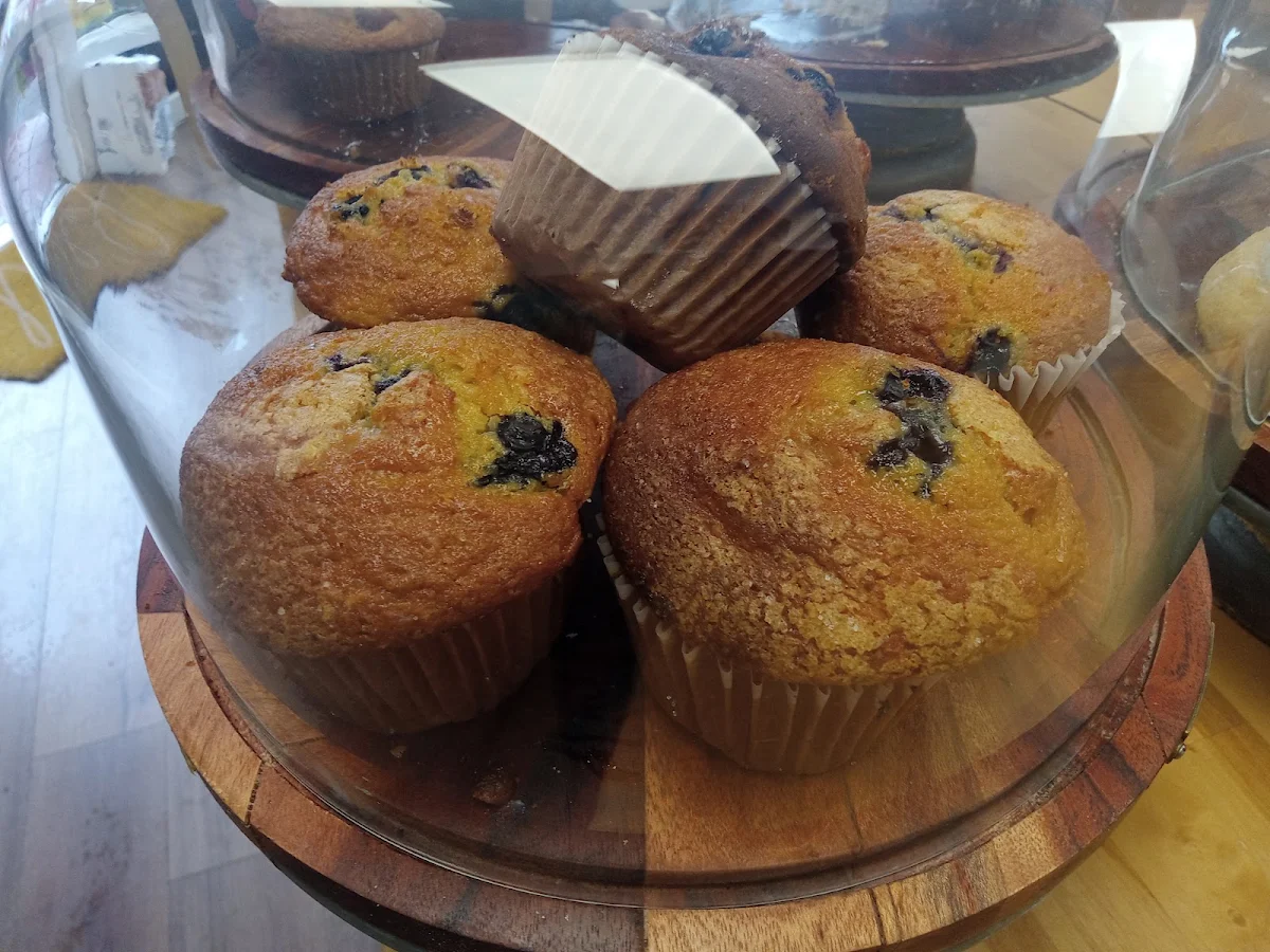 Blueberry Muffin