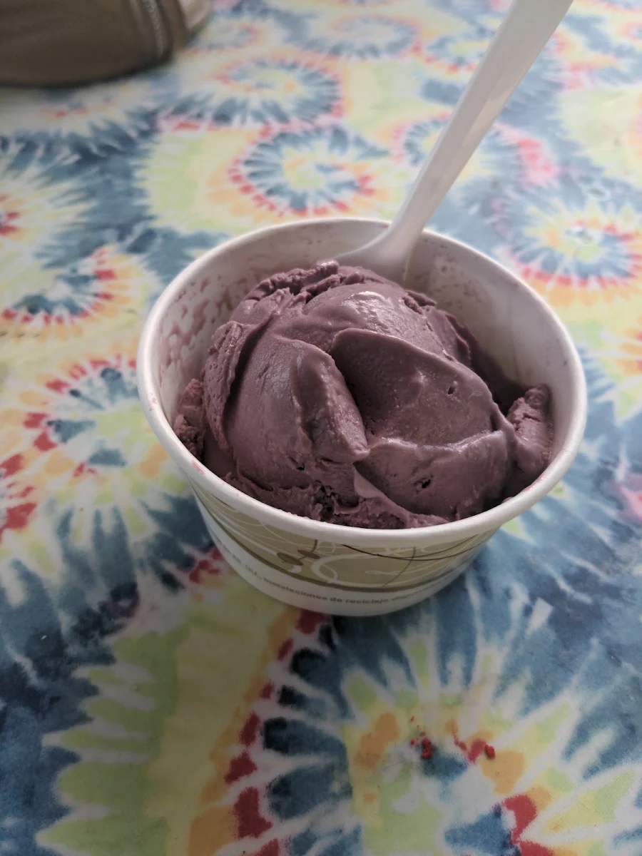 Black Raspberry Chocolate Chip
