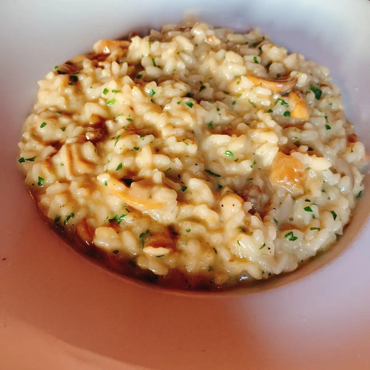 Mushroom Risotto