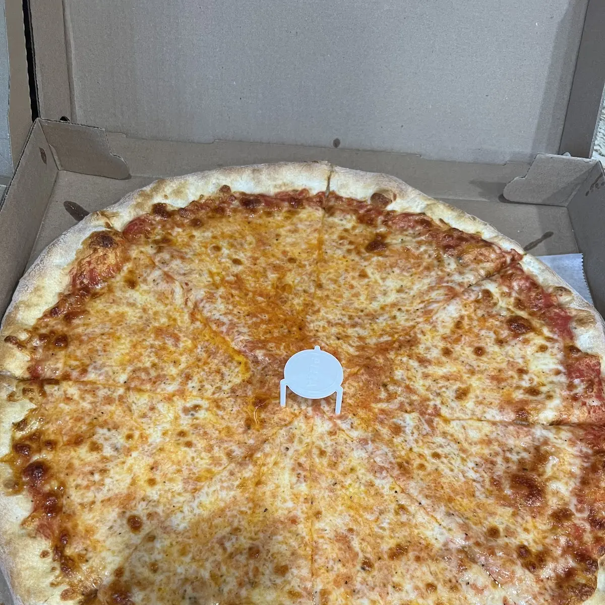 Cheese Pizza Extra Cheese