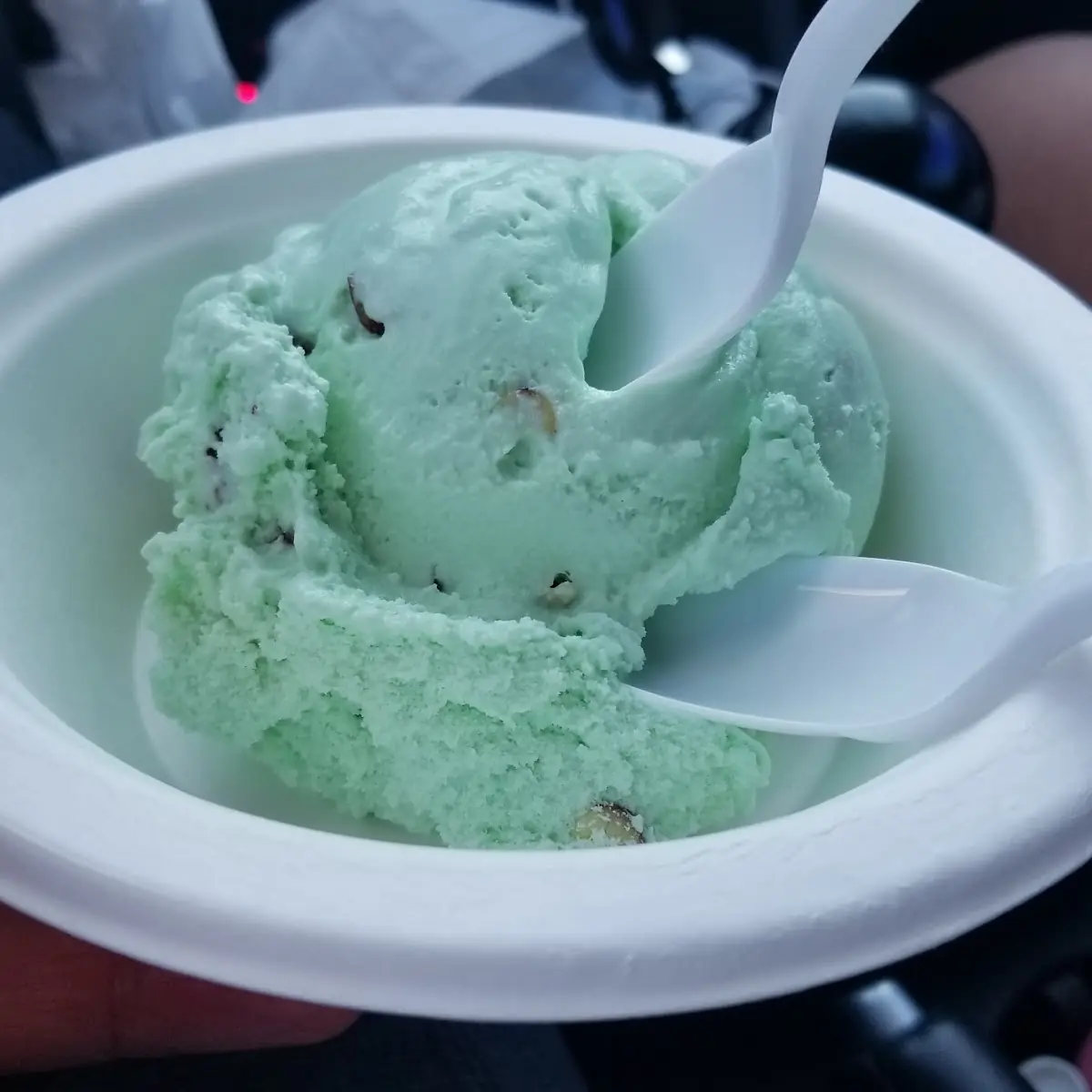 Chocolate Chip Mint