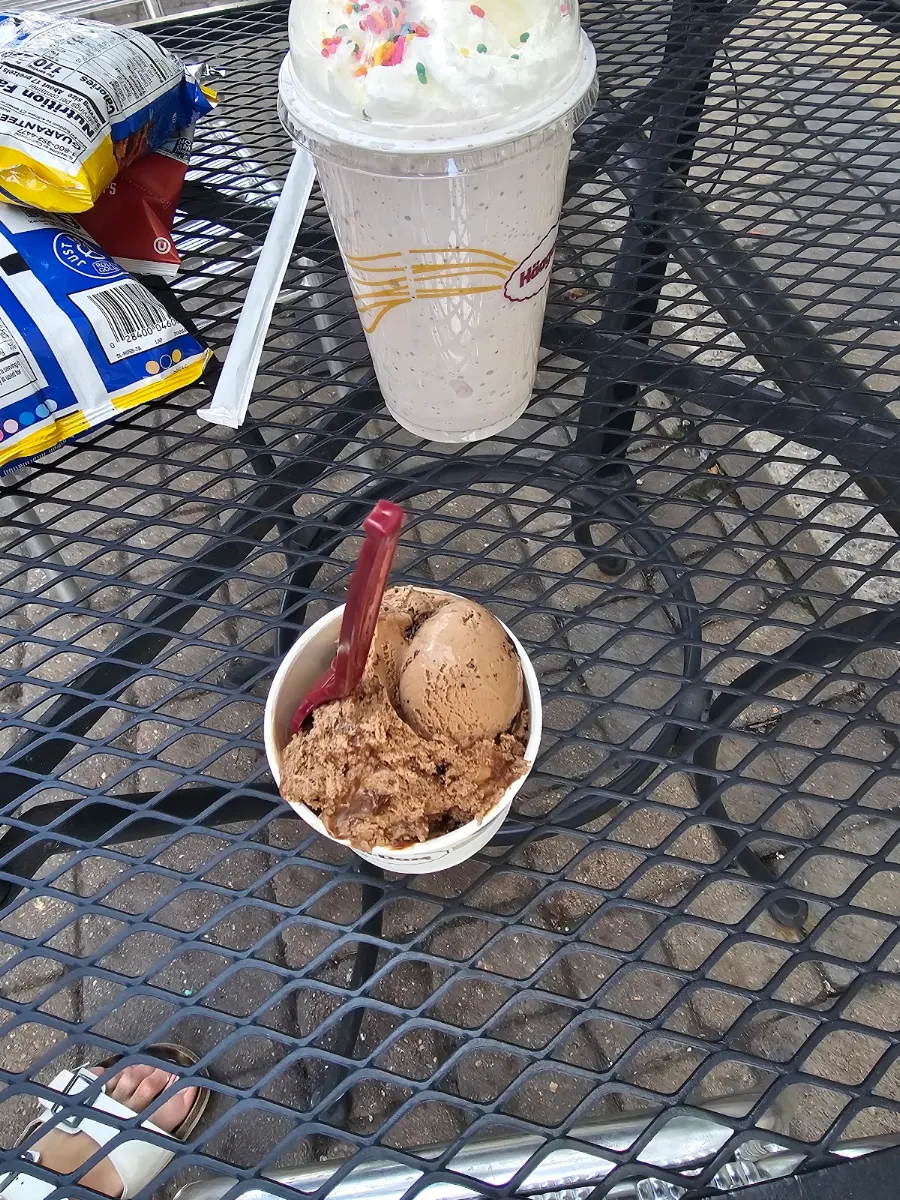 Chocolate Cake Ice Cream