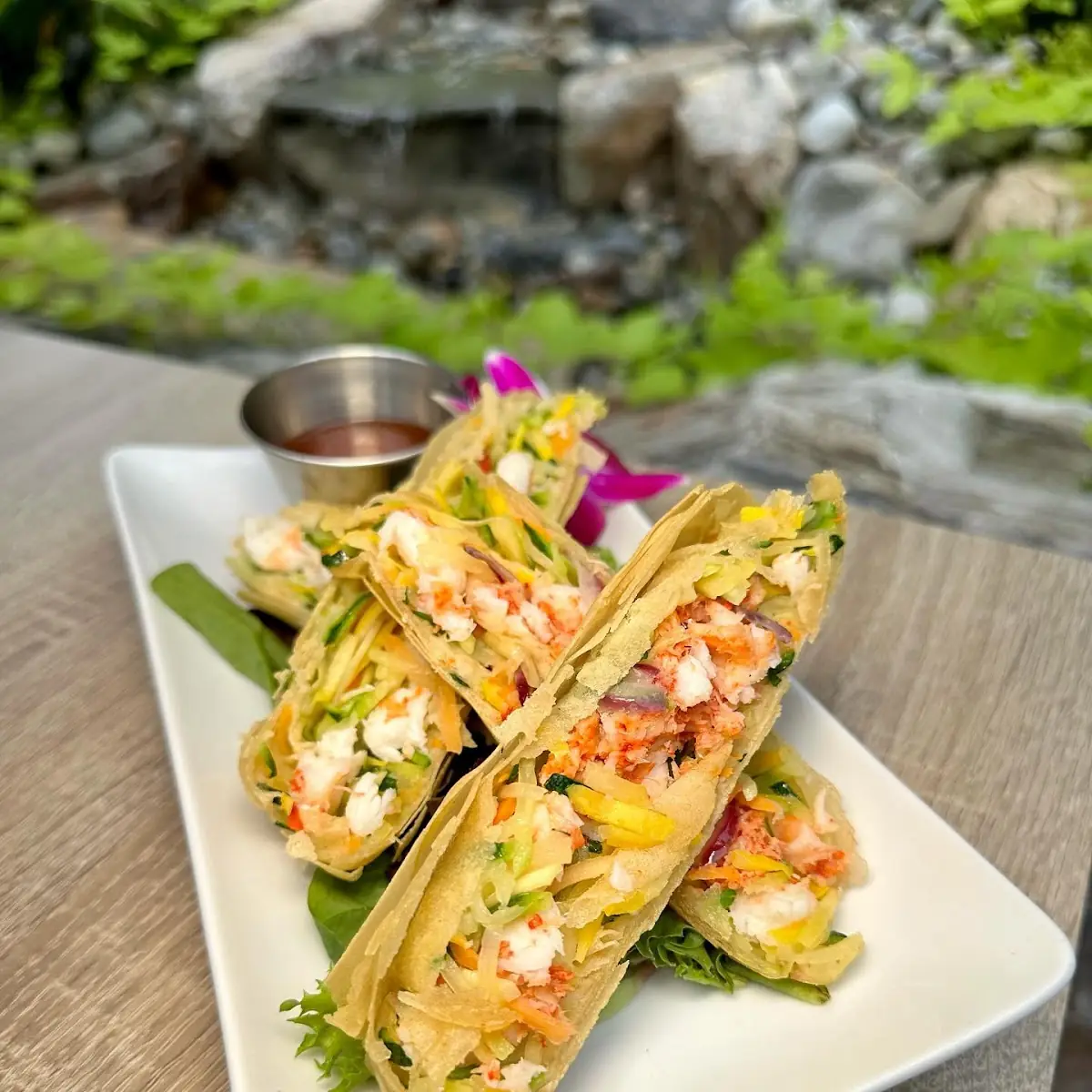 Lobster Spring Rolls