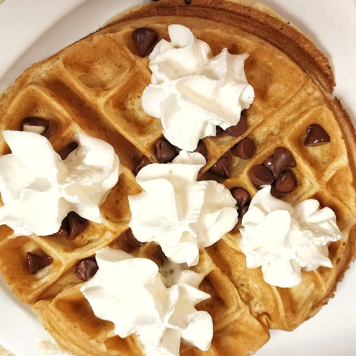 Chocolate Chip Waffle