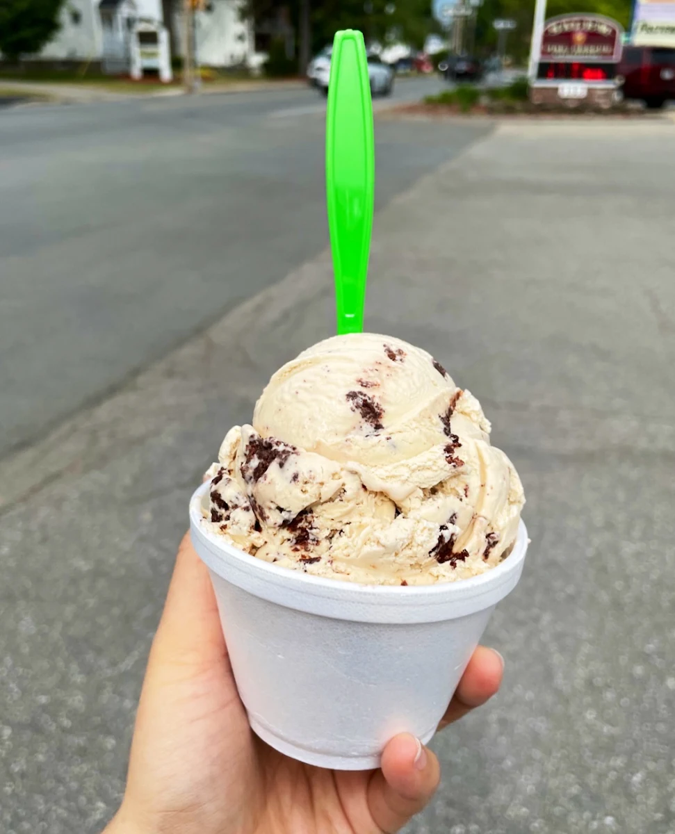 Mint Chocolate Chip Vanilla