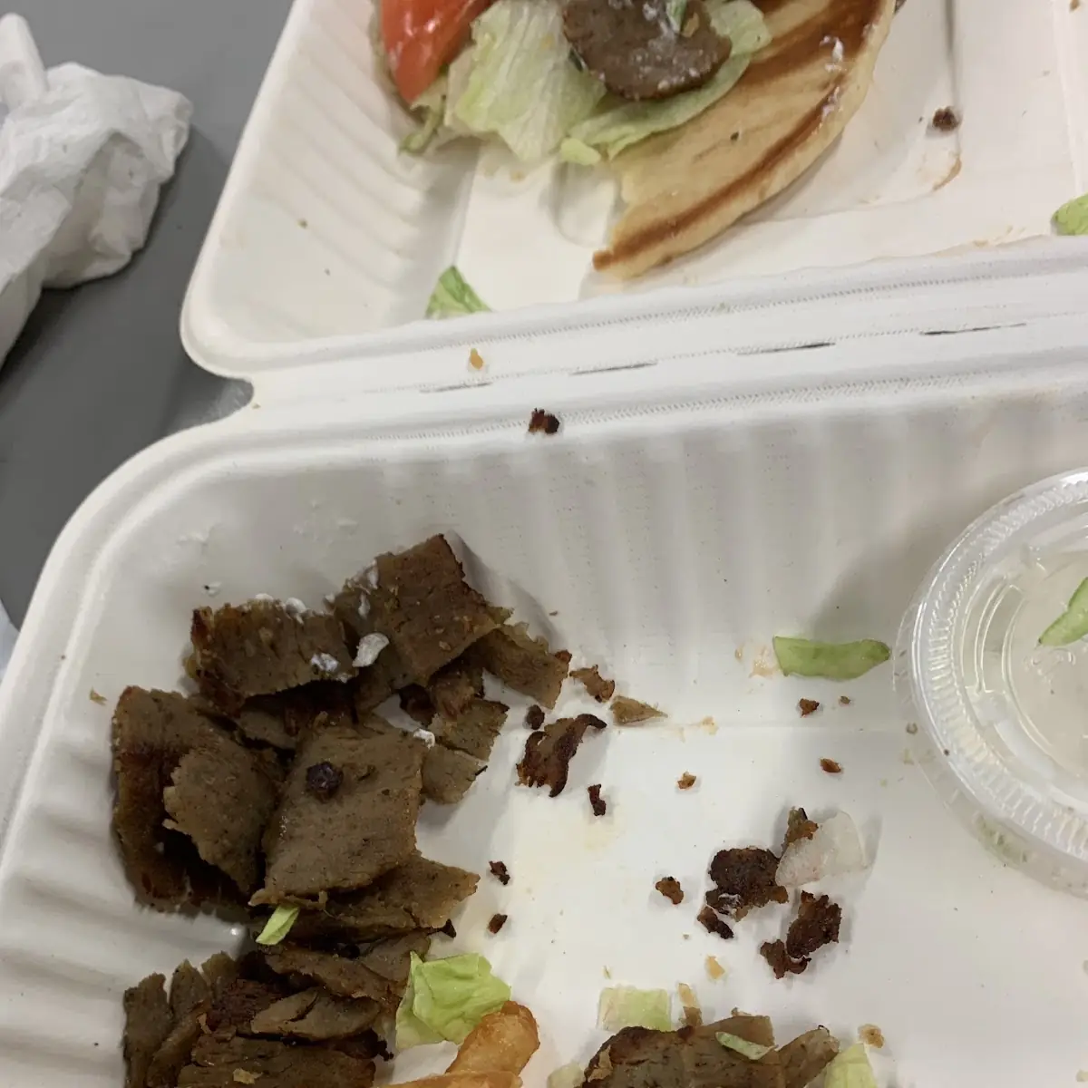 Gyro Meat Leftovers