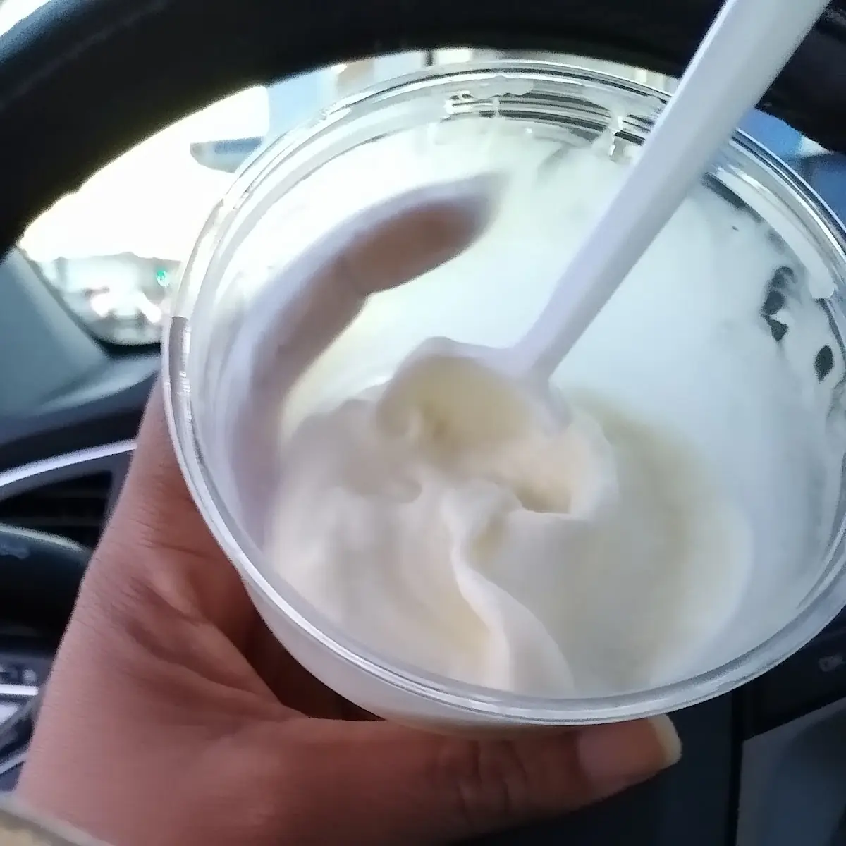 Vanilla Ice Cream
