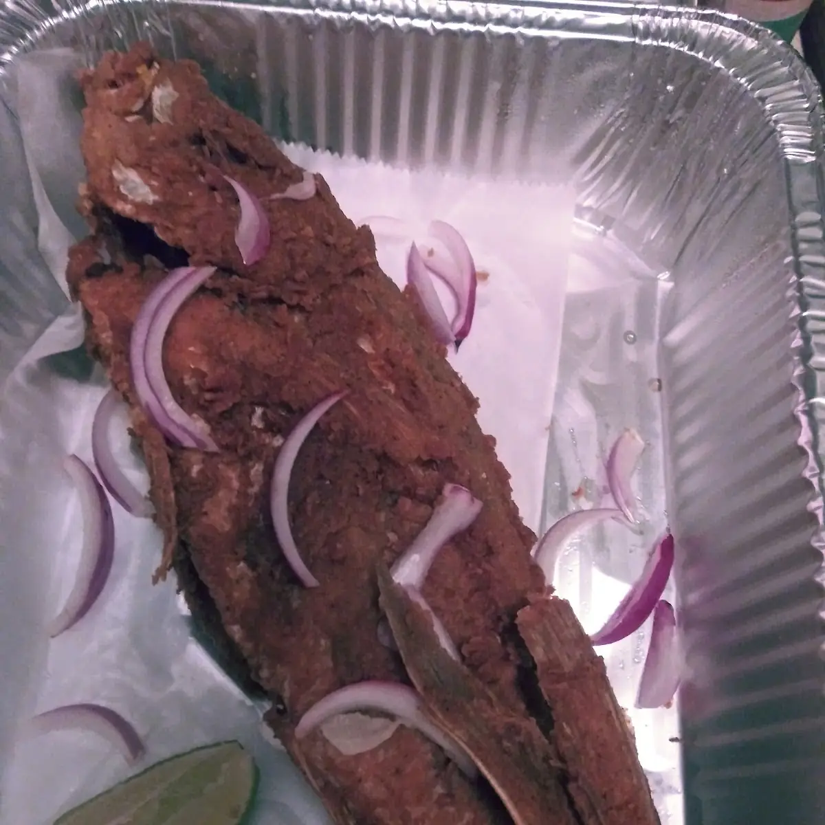 Snapper Fish