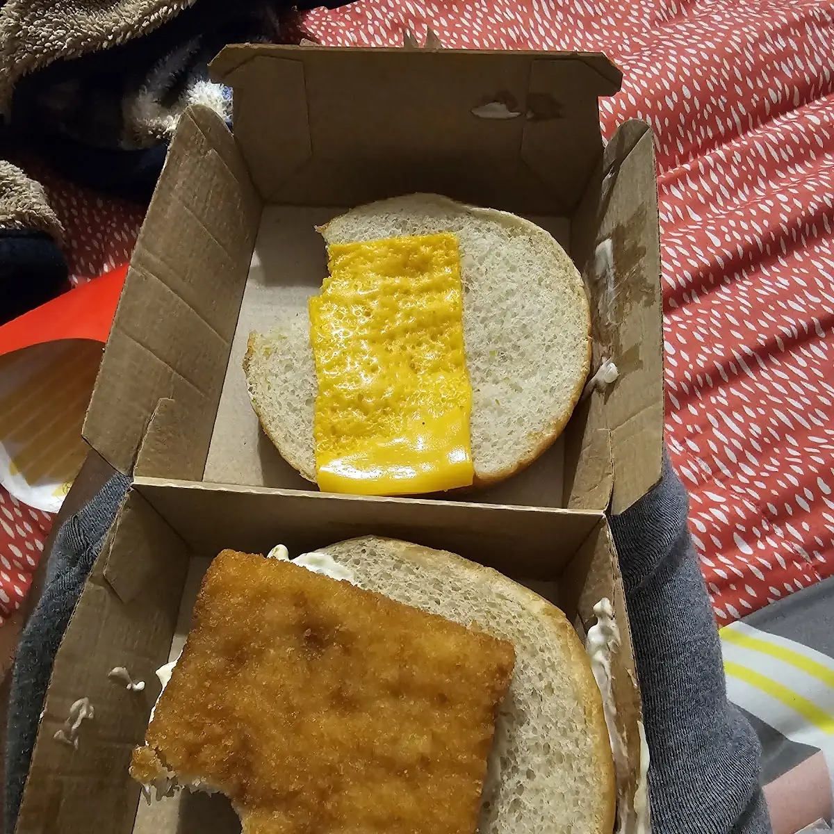 Only American Cheese