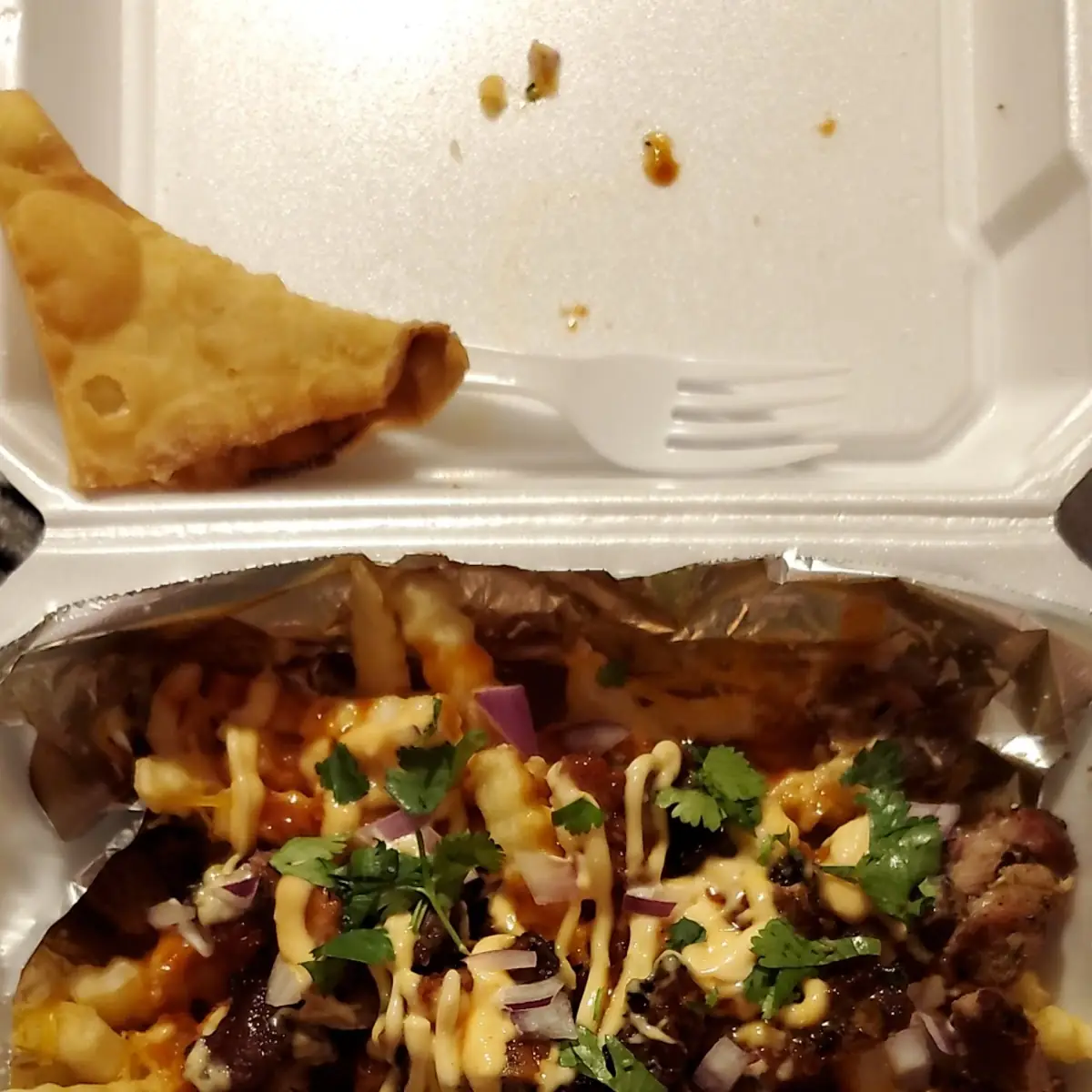 Fusion Fries
