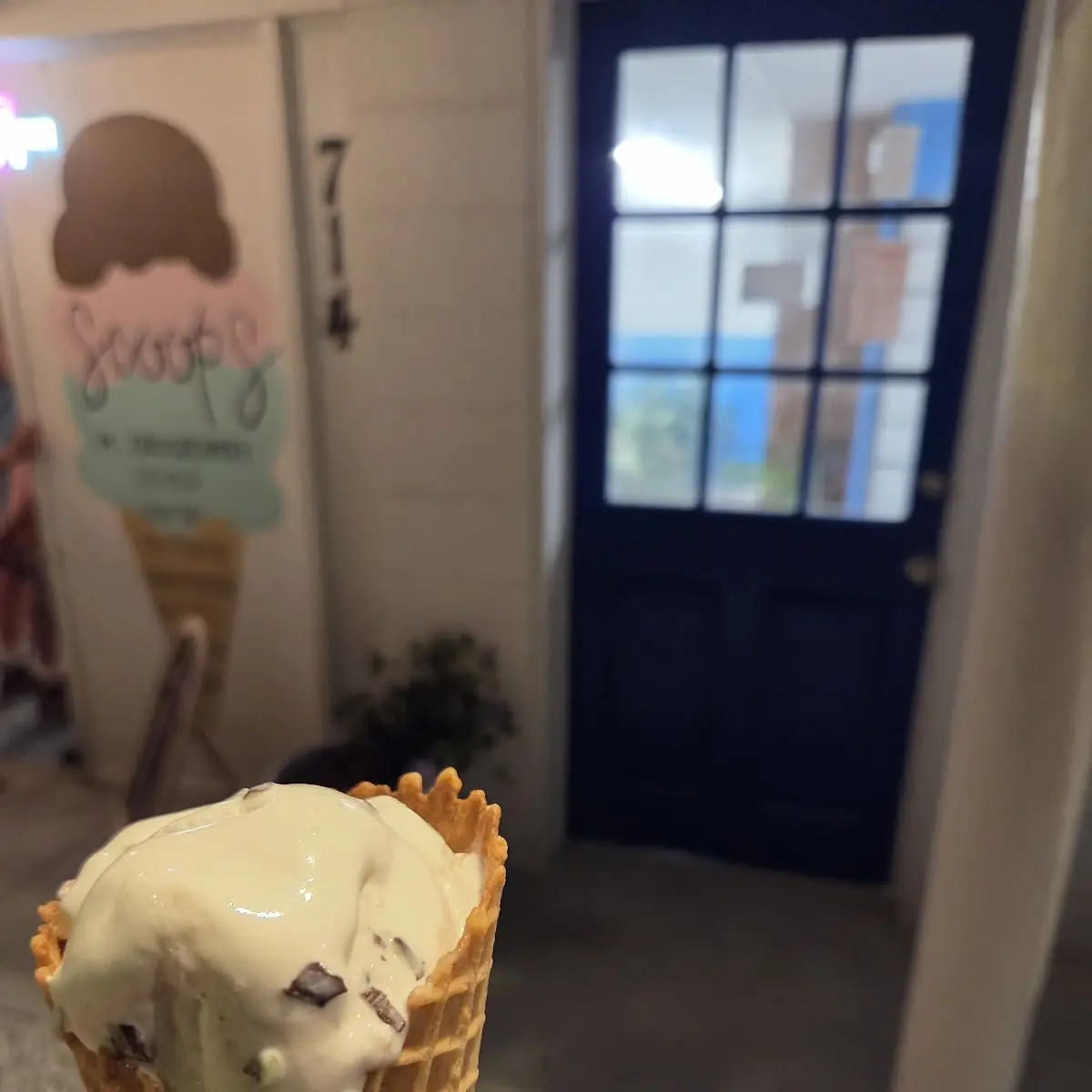 Mint Chocolate Chip in a Waffle Cone